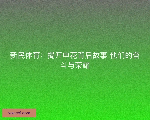 新民体育：揭开申花背后故事 他们的奋斗与荣耀