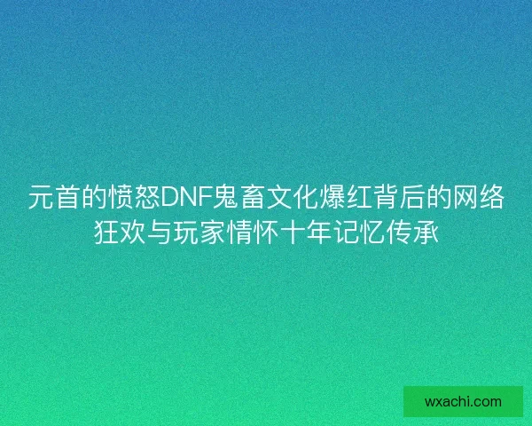 元首的愤怒DNF鬼畜文化爆红背后的网络狂欢与玩家情怀十年记忆传承
