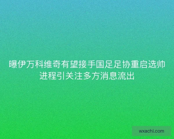 曝伊万科维奇有望接手国足足协重启选帅进程引关注多方消息流出